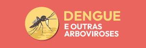 Dengue e ourtas Arboviroses