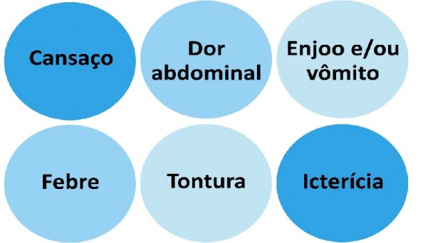 Sintomas causados por hepatites virais