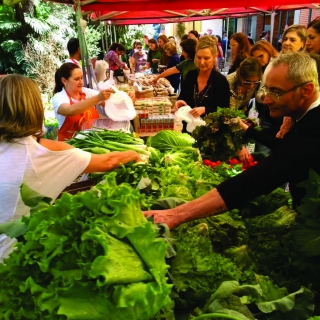 1ª Feira orgânica